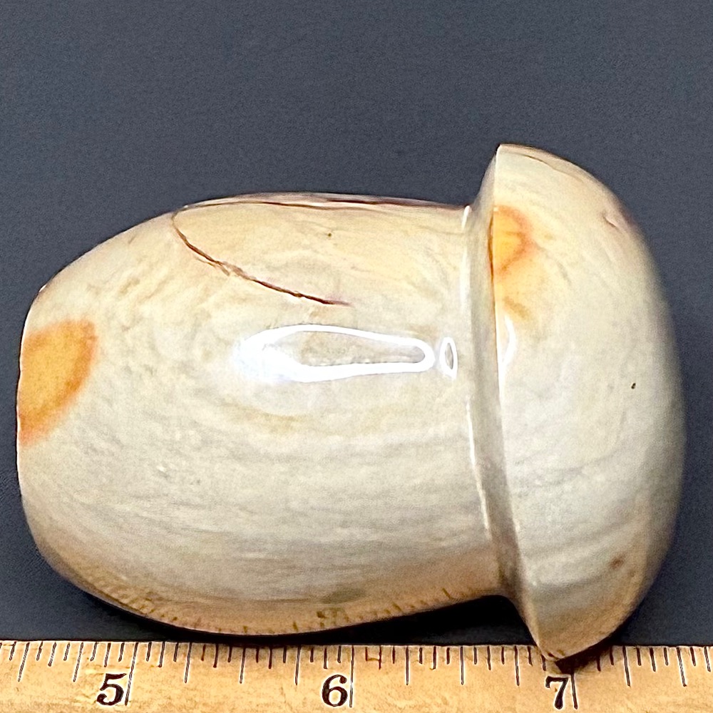 CV201 Polychrome Jasper Mushroom - Image 2