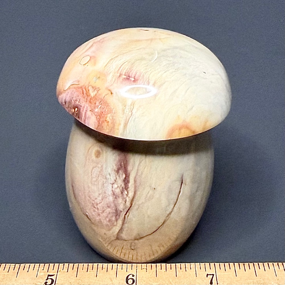 CV201 Polychrome Jasper Mushroom - Image 3