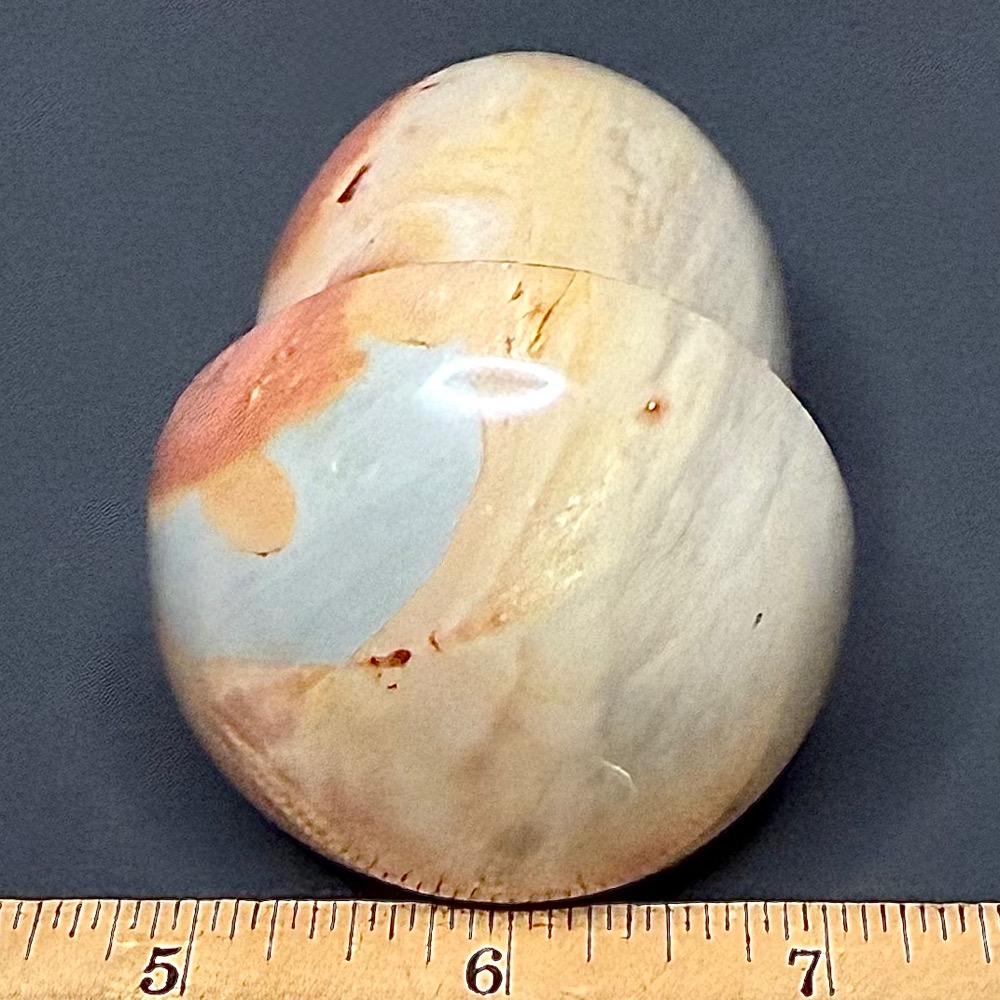 CV201 Polychrome Jasper Mushroom