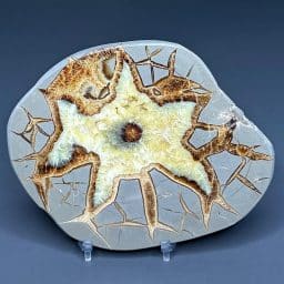SEP100 Septarian Slab