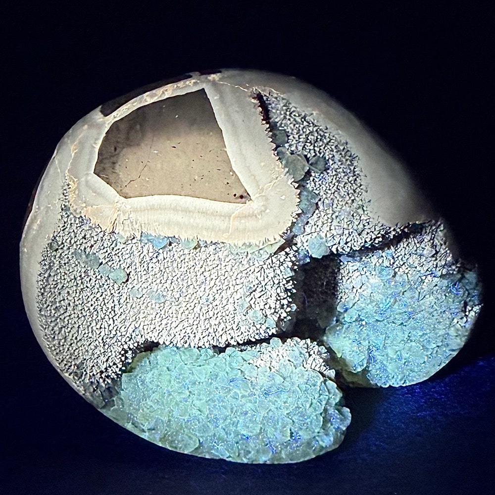 SEP103 Septarian End