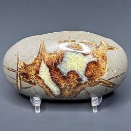 SEP200 Septarian Stone