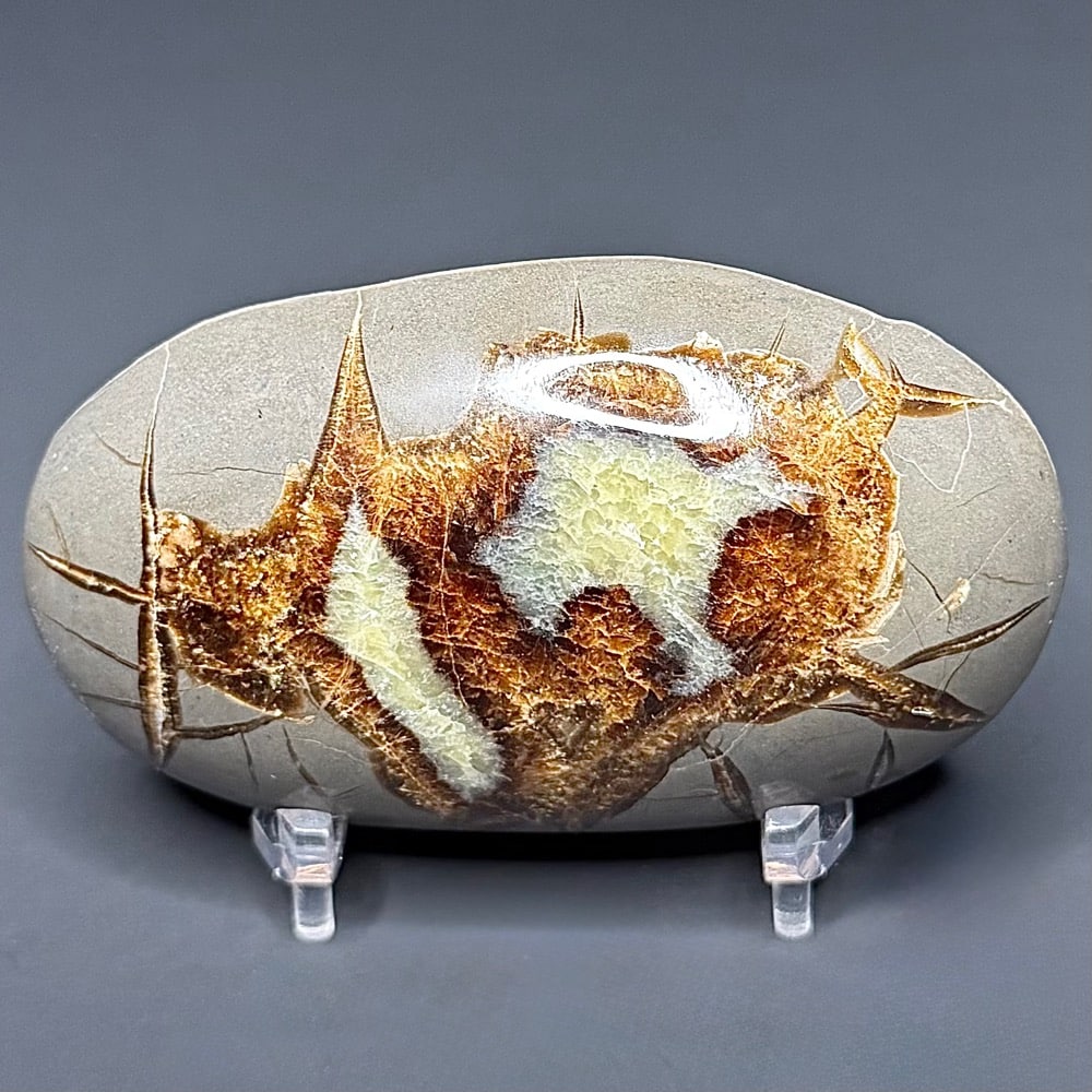 SEP200 Septarian Stone