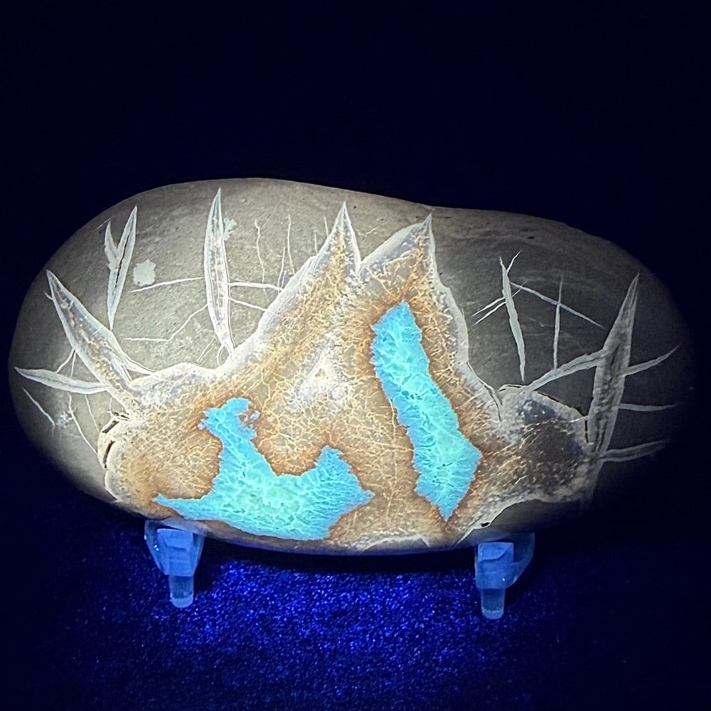 SEP200 Septarian Stone