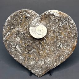 FO507 Fossil Rock Dish