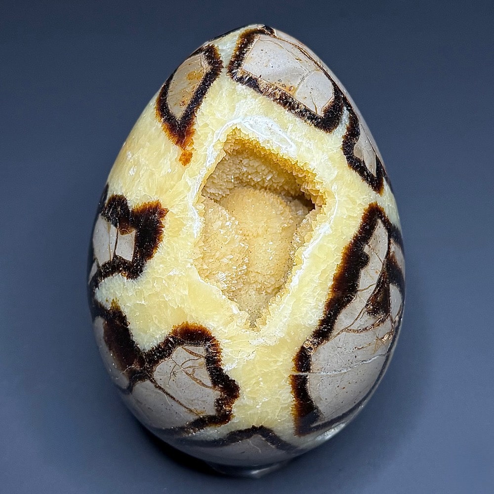 EGG107 Septarian