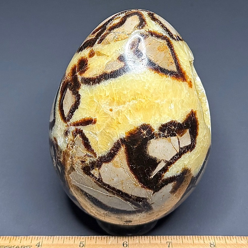 EGG107 Septarian - Image 2