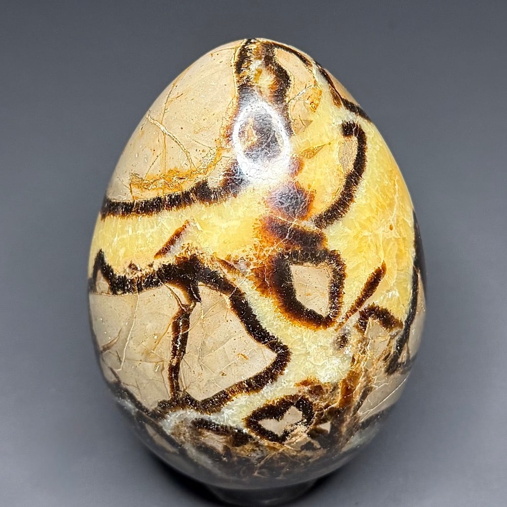 EGG107 Septarian - Image 3