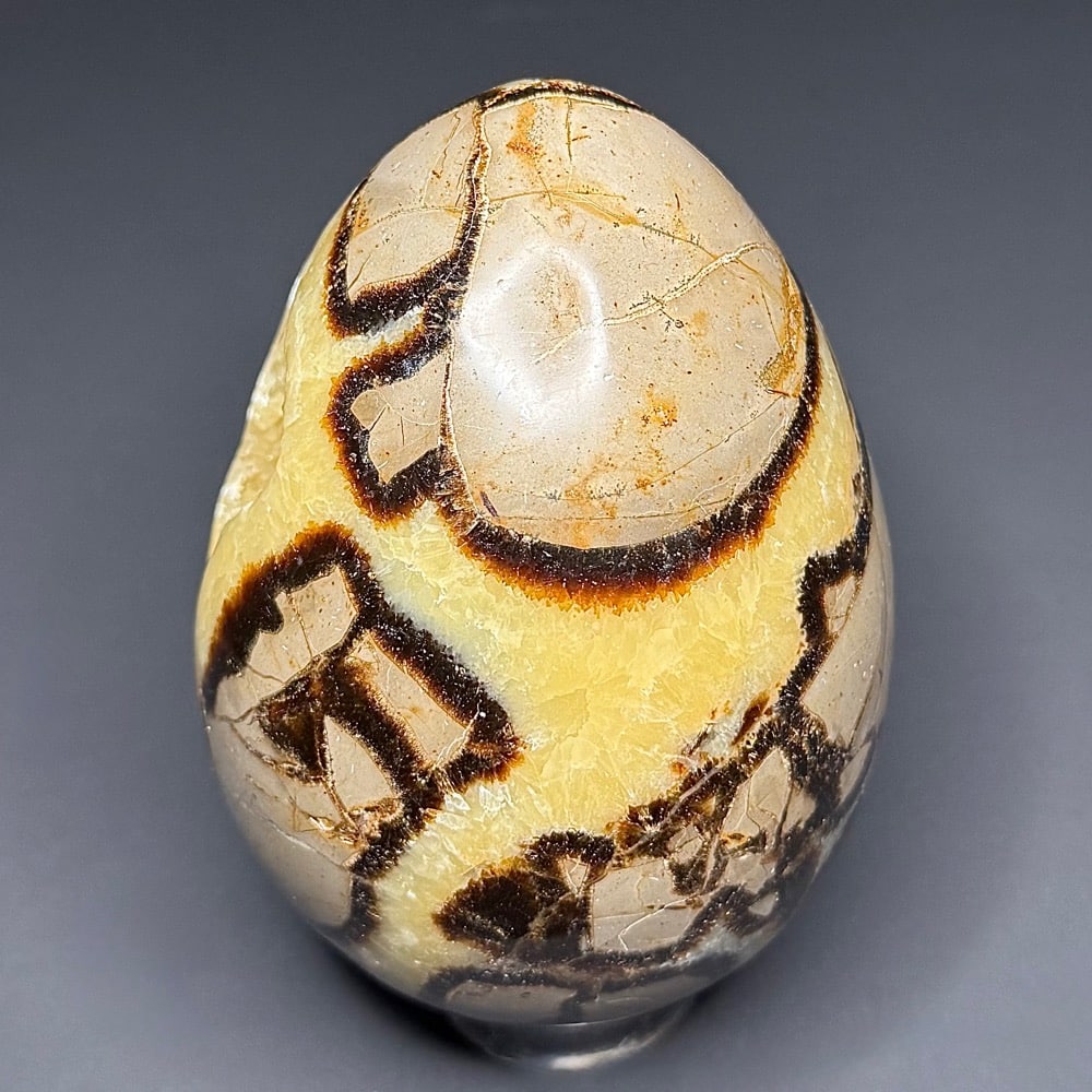 EGG107 Septarian - Image 4