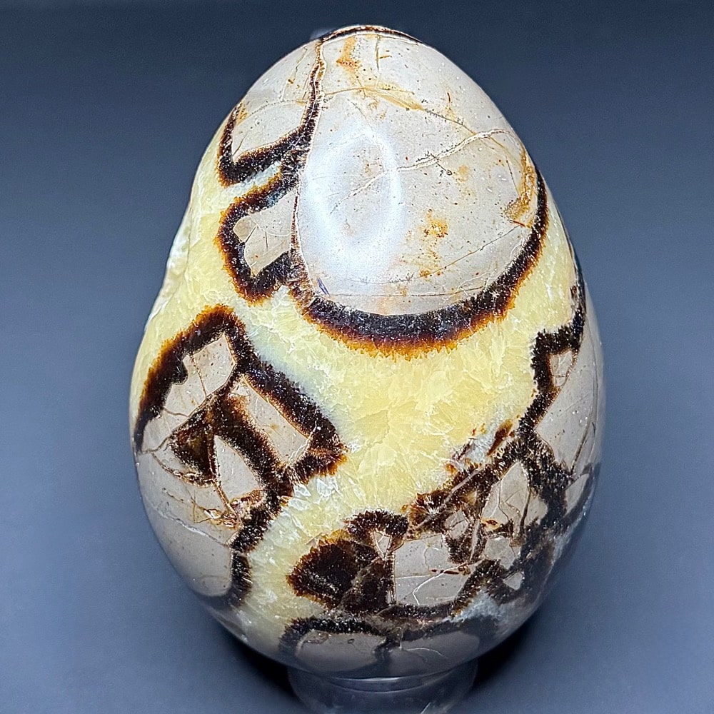 EGG107 Septarian - Image 5
