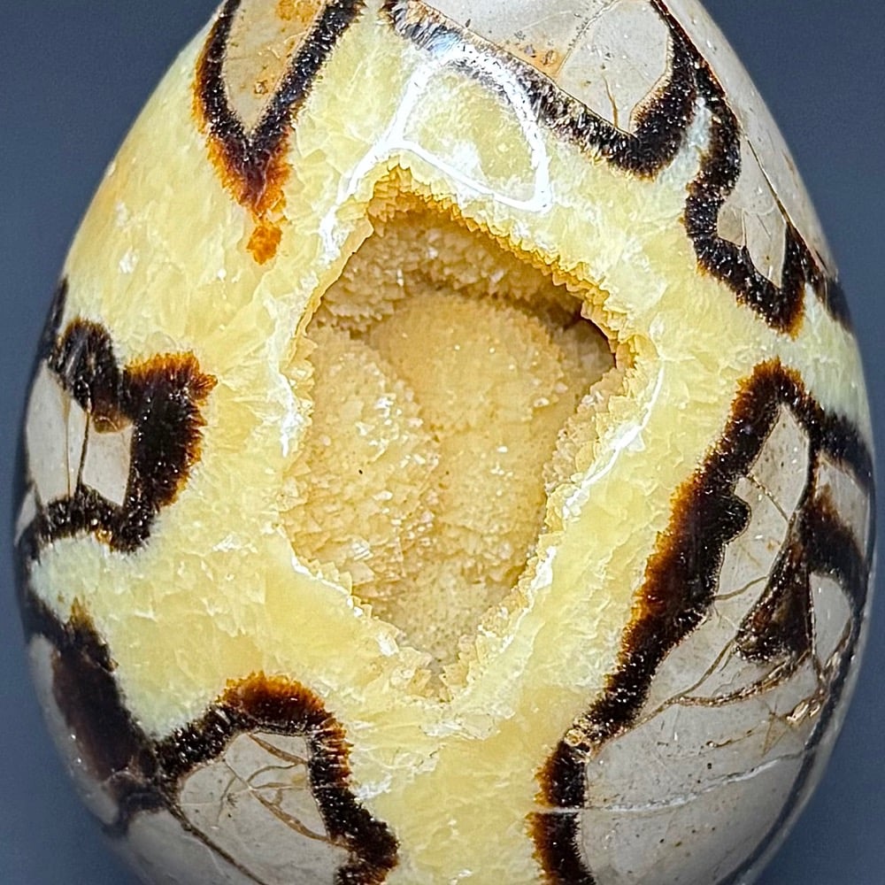 EGG107 Septarian - Image 6