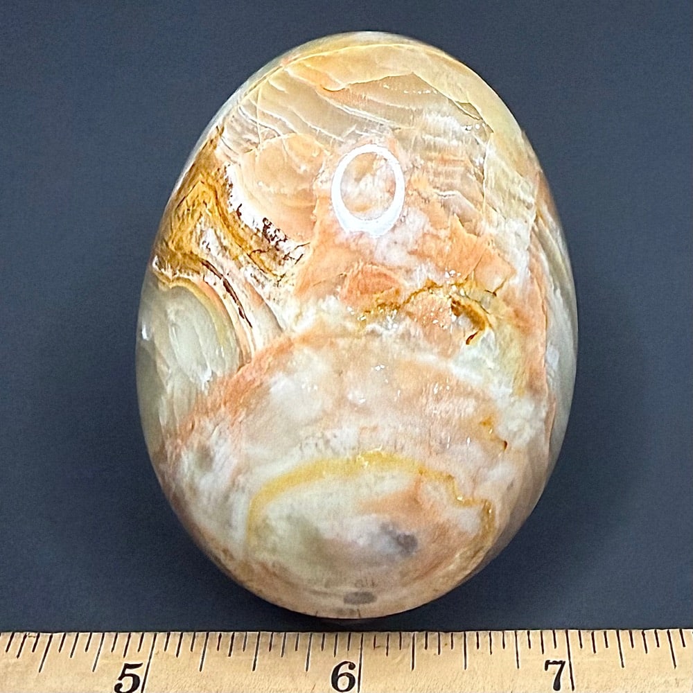 EGG110 Onyx - Image 2