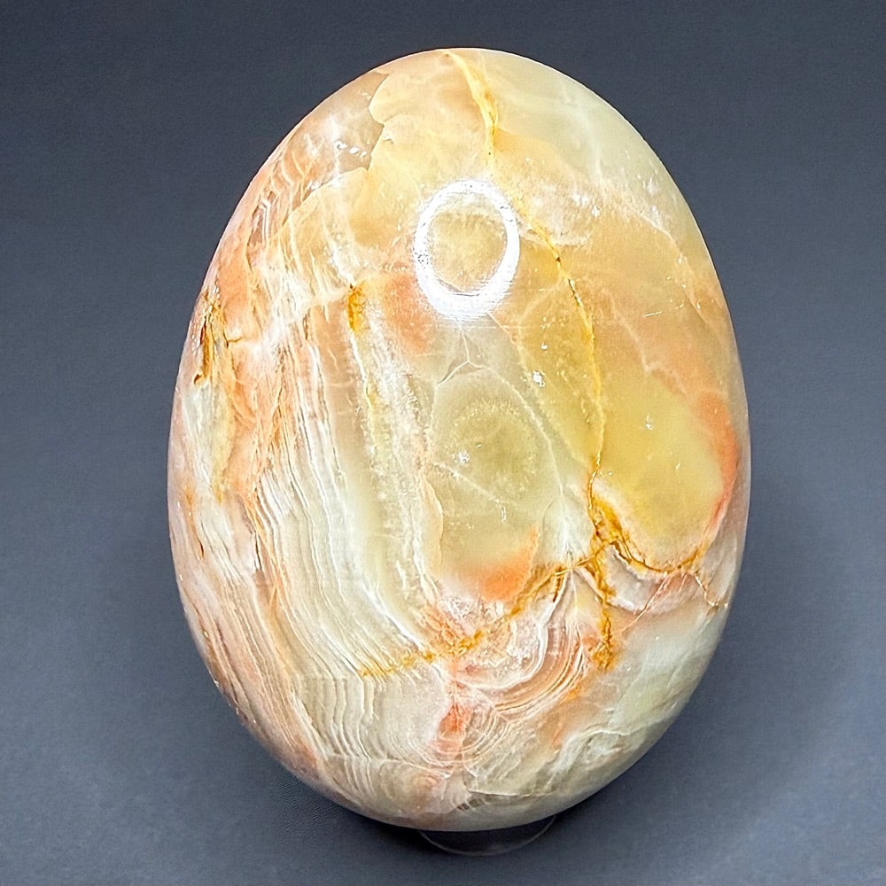 EGG110 Onyx - Image 3