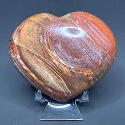 H510 Petrified Wood