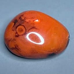 PR305 Sardonyx