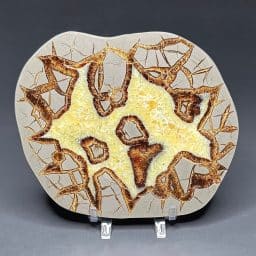 PR510 Septarian Slab