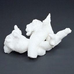 M510 Aragonite