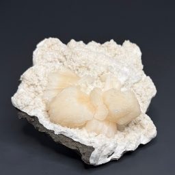 M516 Stilbite