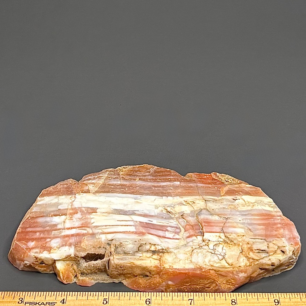 AG313 Water Level Mozambique Agate - Image 3