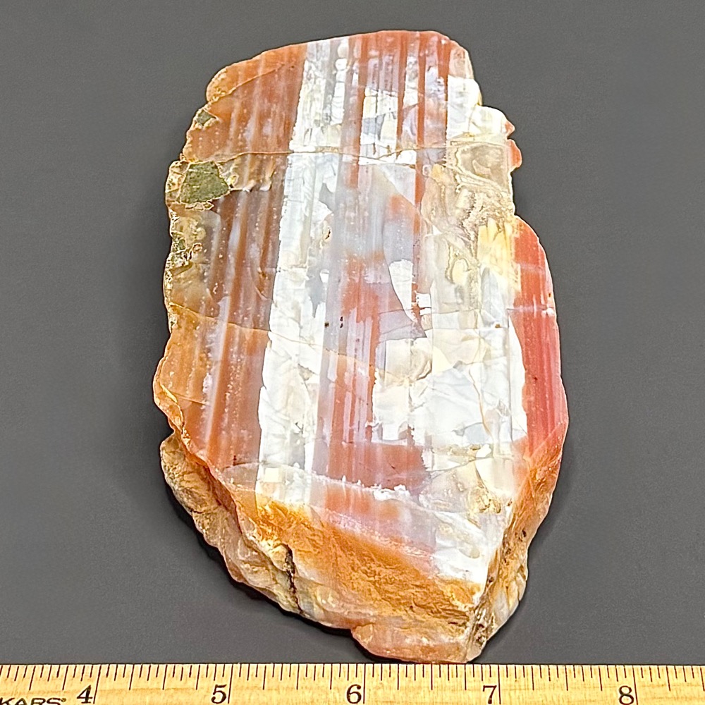 AG313 Water Level Mozambique Agate - Image 2