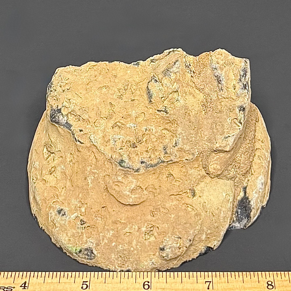AGB410 Brazilian Agate End - Image 2