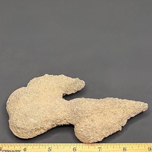 M419 Sand Spike - The Rock Shed