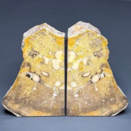 BK111 Petrified Wood Bookends