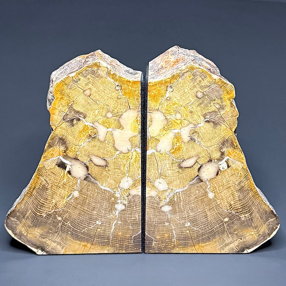 BK111 Petrified Wood Bookends