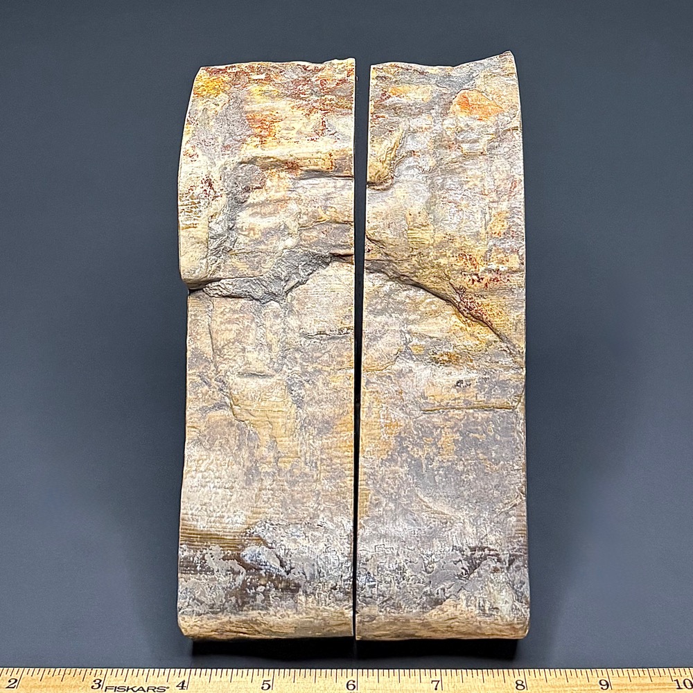 BK111 Petrified Wood Bookends - Image 2