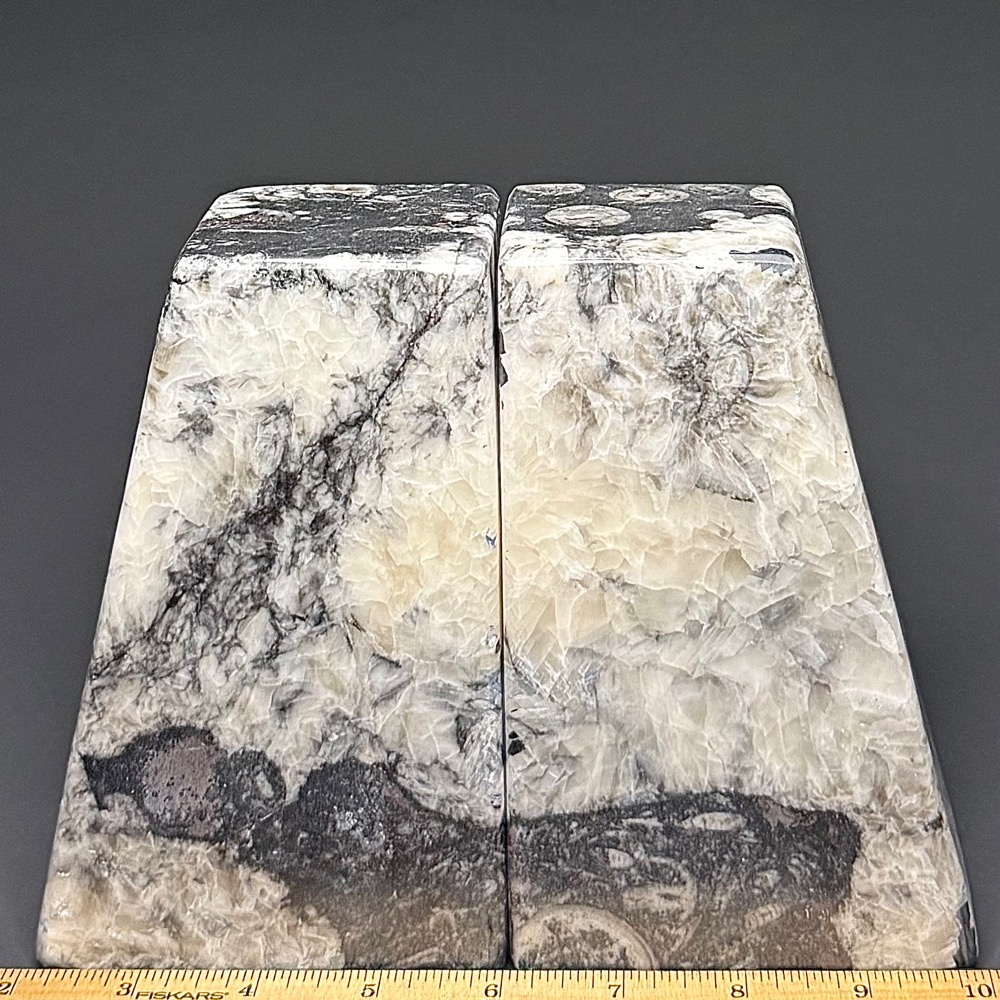 BK308 Geisonoceras Bookends - Image 2
