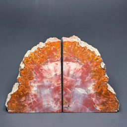 BK607 Petrified Wood Bookends