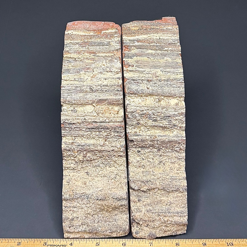 BK607 Petrified Wood Bookends - Image 2