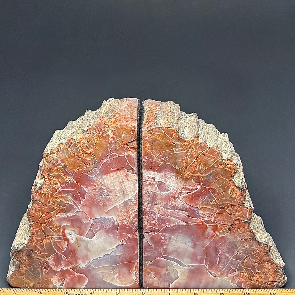 BK607 Petrified Wood Bookends - Image 3