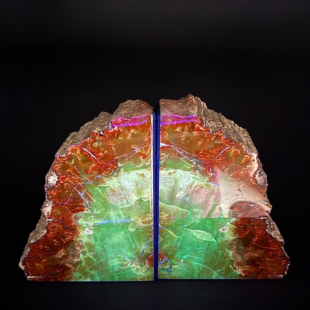 BK607 Petrified Wood Bookends