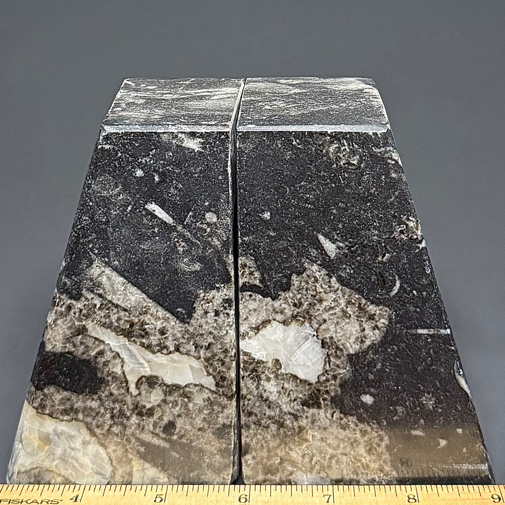 BK812 Geisonoceras Bookends - Image 2