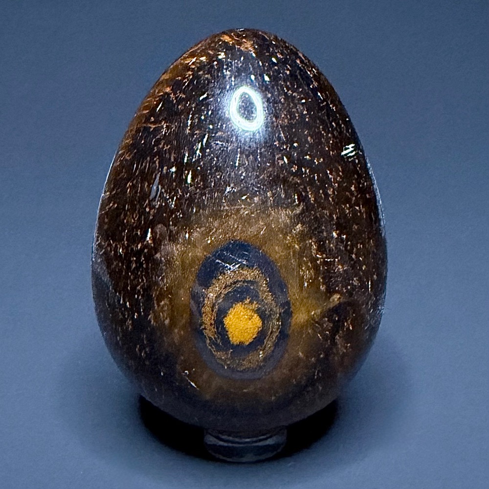 EGG309 Tiger Eye - Image 3