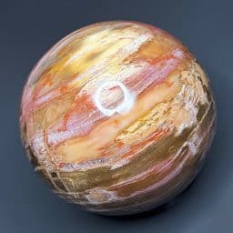 SP111 Petrified Wood