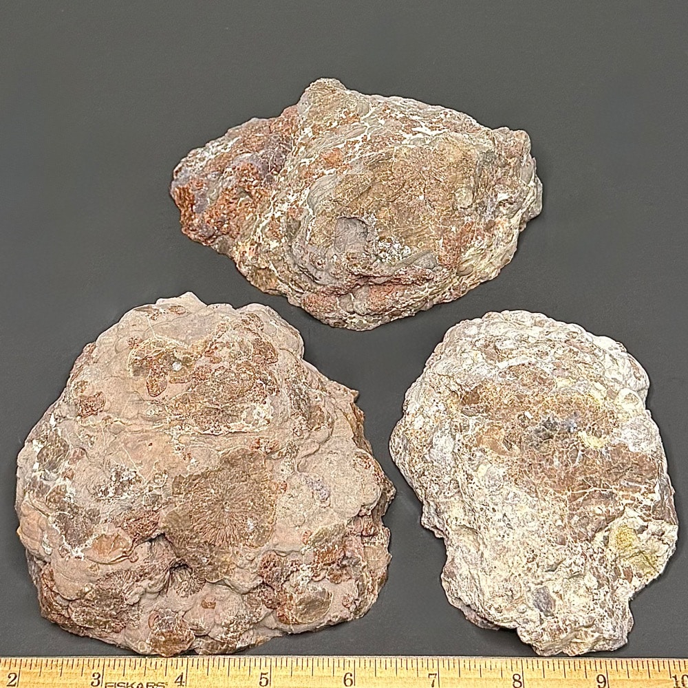 BCR315 Rhyolite Dugway Geode - Image 2