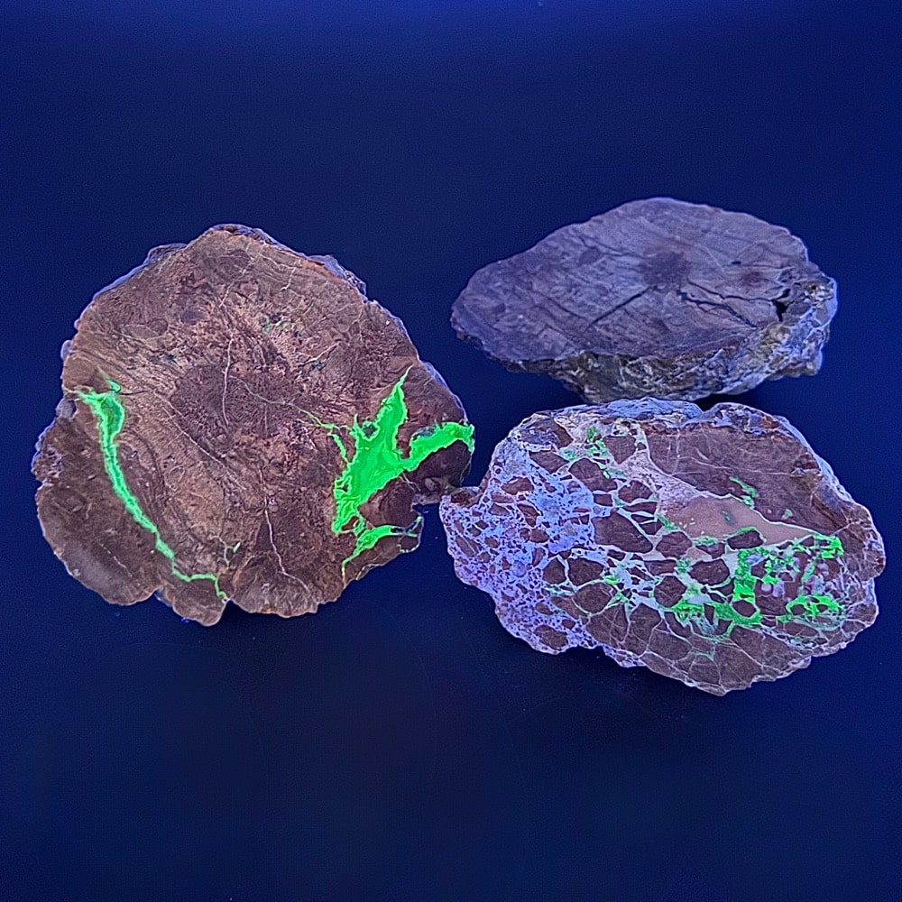 BCR315 Rhyolite Dugway Geode