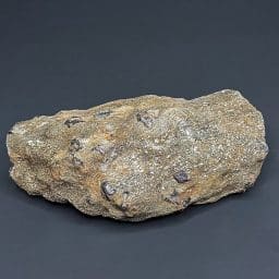 GR215 South Dakota Garnet in Schist