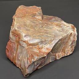 GR102 Arizona Petrified Wood