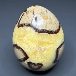 EGG507 Septarian