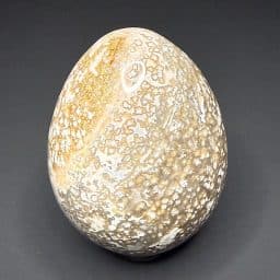 EGG508 Ocean Jasper