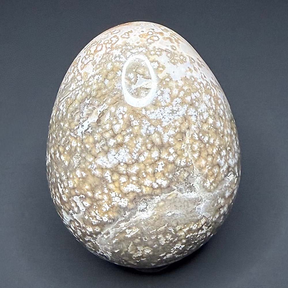 EGG508 Ocean Jasper - Image 3