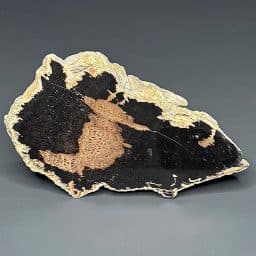 PR800 Petrified Wood