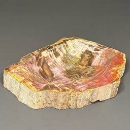 PW110 Petrified Wood Bowl