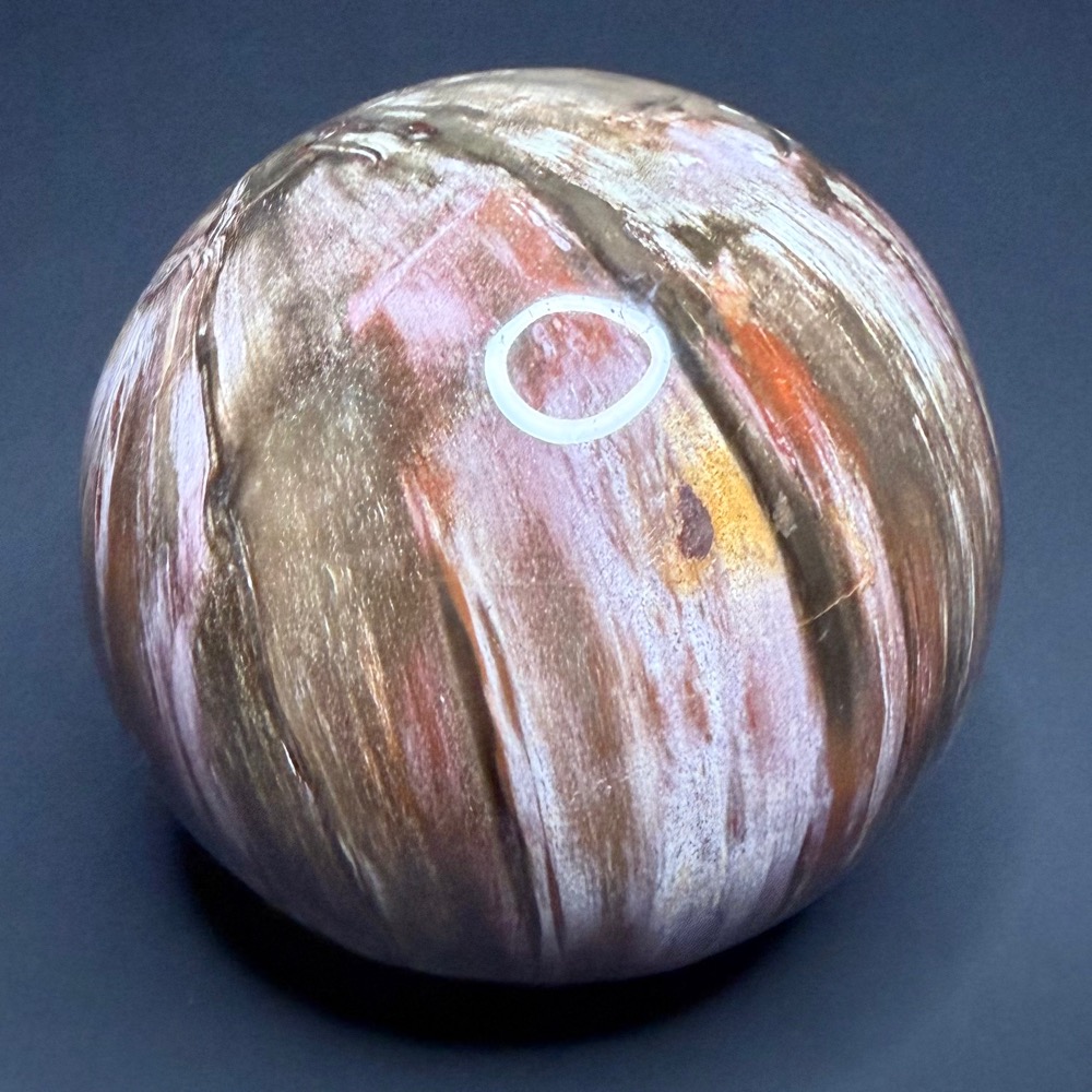 SP111 Petrified Wood