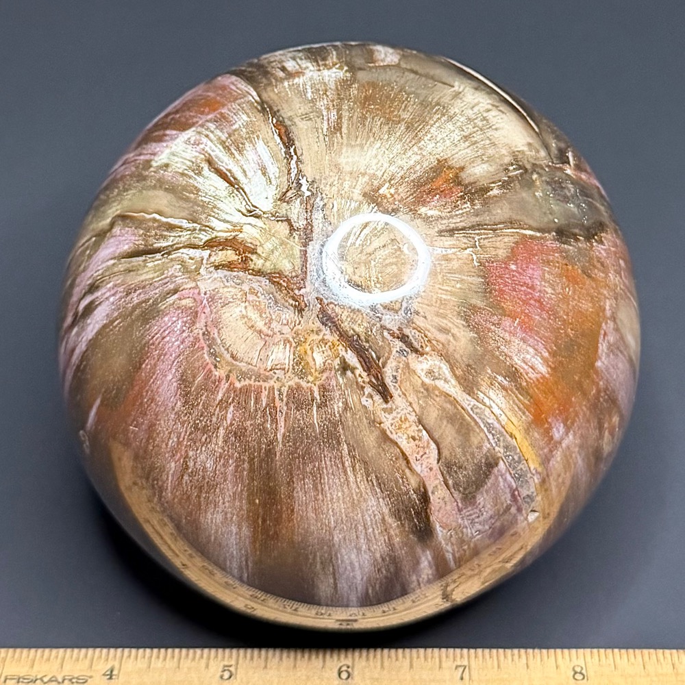 SP111 Petrified Wood - Image 2