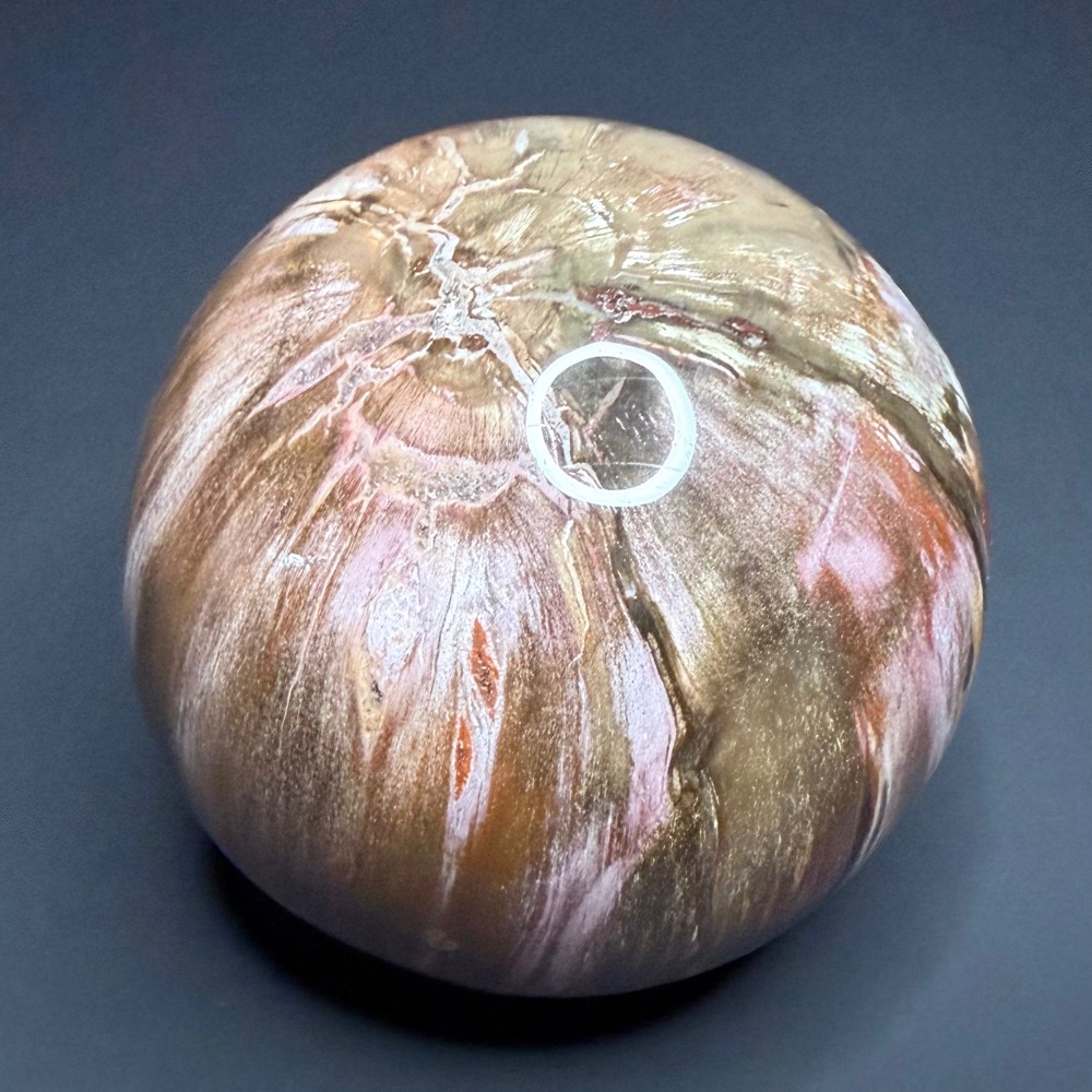 SP111 Petrified Wood - Image 3