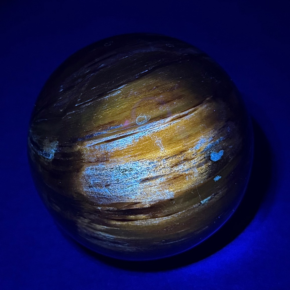 SP111 Petrified Wood
